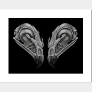 Hawk Skulls B&W Posters and Art